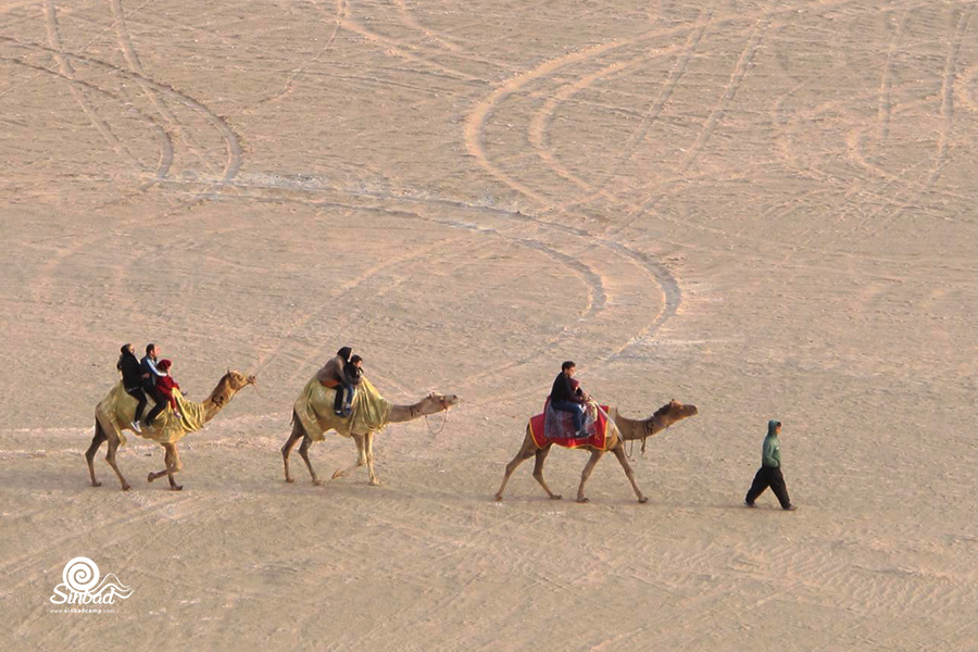 شتر سواری در کمپ کویر یزد