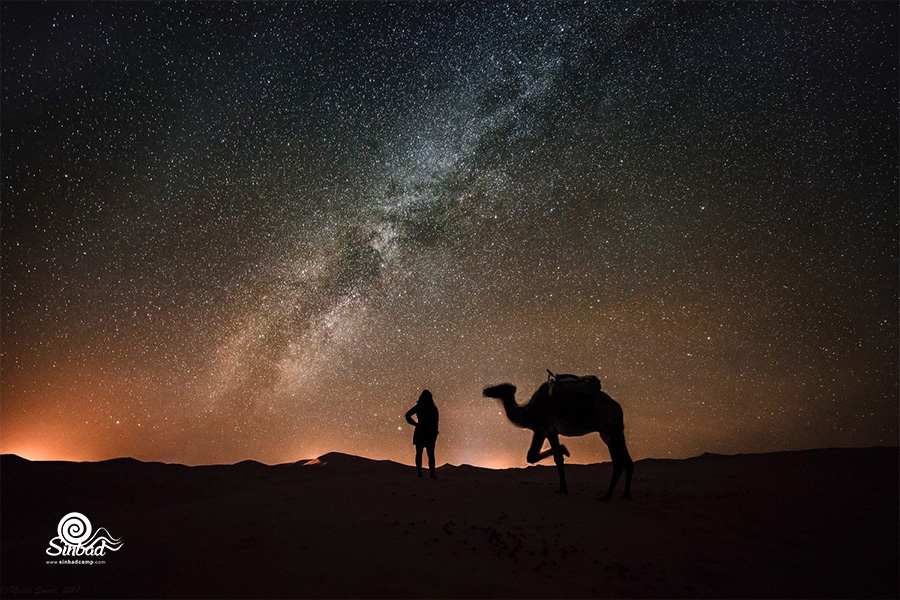 رصد ستارگان در کمپ کویر یزد